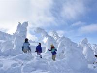 ITF旅展優惠~東北旅遊|藏王樹冰雪怪車.銀山溫泉街.會津若松城.合掌村.熊野大社.仙台牛舌餐.溫泉五日