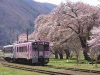 東北旅遊|百選賞櫻名所~會津若松城.會津鐵道.置賜回廊.三春瀧櫻.合掌村.東光酒藏.米澤牛餐.展望露天之湯有馬館溫泉五日