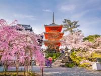 大阪旅遊｜春櫻京阪神~日本環球影城瑪利歐.醍醐寺.嵐山小火車.哲學之道.神戶水族館六日｜環球旁飯店｜高雄來回