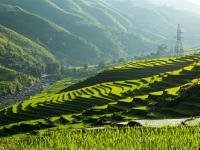 越南旅遊｜【沙壩仙境五星5日】梯田健行.番西邦纜車.雲霧玻璃天空步道.鐵道雞蛋咖啡.夜臥火車體驗(早午/含簽)