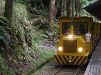 宜蘭旅遊｜太平山森呼吸、太平山蹦蹦車、泰雅生活館、羅莊竹林寺賞櫻、捷絲旅三日遊｜高雄台南出發