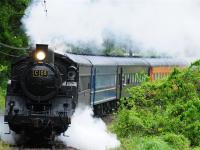 名古屋靜岡茶香巡禮～SL大井川鐵道｜日本平纜車~富士山絕景.濱名湖遊船.牧之原茶園.久能山東照宮.岡崎城.螃蟹溫泉五日