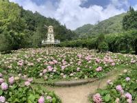 南投旅遊｜杉林溪森林遊樂區～四季花季.採果樂..杉林溪主題會館1泊2食二日｜高雄台南出發