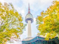 首爾旅遊｜《小資省鈔大》東大門乙支路高爺酒店5天4夜自由行★德威航空★｜高雄出發
