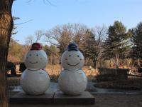 參團免小費｜首爾旅遊｜滑雪體驗.採果樂.抱川藝術谷.逛明洞_弘大_東大門五日