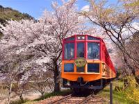 大阪旅遊｜春櫻京阪奈~日本環球影城瑪利歐.嵐山小火車.哲學之道.和服體驗五日｜環球旁飯店｜高雄來回