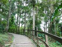 北桃旅遊｜百大亮點｜慈湖紀念公園.東眼山國家森林區.福華渡假飯店晚餐二日｜中部出發