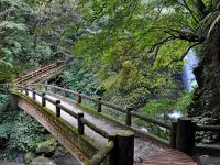 新北旅遊｜走入山林~三峽滿月圓森林遊樂區森呼吸.白雞行修宮.新北客家文化園區1日