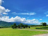 【兩人成行·鐵道自由】花東秘境~山里教堂·縱谷山線鐵馬遊·蝴蝶谷泡湯·藍皮太平洋4日