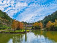 入住明池山莊│武陵農場櫻花季│第二人折500~新年山上走春．漫步仙境宜蘭二日