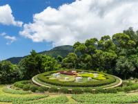 雙北旅遊｜陽明山花季、金瓜石公園、無敵海景步道、烏來賞櫻、九份老街、雙五星酒店三日遊｜高雄台南出發