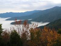 新竹旅遊【天天出發.一人成行】雪霸休閒農場.雲端上的觀霧.雲霧步道.野馬瞰山2日｜台中出發