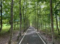 花蓮旅遊．清明連休火車來回｜大農大富螢漫平森、池上伯朗大道、台版紐西蘭、池南森林、月洞奇觀三日｜高雄出發