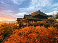 客製｜京都奢華馥頌酒店x星野虹夕諾雅x米其林餐雙饗宴迷你小團五日【專屬包車】(天天出發)※不含機票