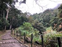 苗栗旅遊｜這座小鎮很緩慢.這杯咖啡不加糖.這條溪流很清澈.庭園風鱒魚餐廳一日｜大人囝仔