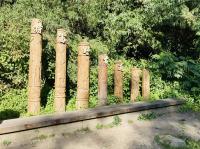 嘉義旅遊｜步道健行｜柳杉鐵道.特富野古道.阿里山森林樂園.阿里山園區住宿二日｜中部出發