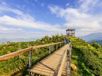 南投旅遊｜大崙山迎接2025第一道曙光～超壯觀雲海.茶二指喝茶去.溪頭森呼吸.紫南宮祈福求財.福華二日