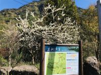 嘉義旅遊｜米洋溪步道．頂湖環湖O型步道．入住五星耐斯王子含飯店晚餐二日｜中部出發