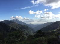 高雄旅遊│限量前20位享優惠｜南橫高山之心天池.埡口雲海.新威森林~漫步桃花心木步道.愛之船遊河三日