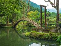 南投旅遊│日月潭遊湖.溪頭自然教育園區.向山遊客中心二日│台北新竹出發