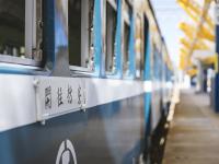 藍皮解憂號｜高台茶園.池上伯朗單車.金崙走讀.縱谷三日｜兩人成行.台北台中出發