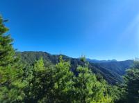 大雪山賞楓．第二人折$300．【迷你小車團.四人成行】大雪山旅遊｜神木、天池觀景台一日遊｜台中出發