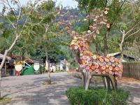 嘉義旅遊｜迷糊步道．鄒族逐鹿文創園區．入住阿里山園區飯店二日｜中部出發