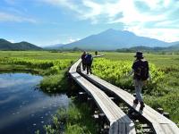 日本最大高原溼地～尾瀨之原健行6日(含小費)