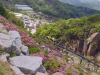 住宿保證｜首爾旅遊｜保證住萬豪RYSE.星空圖書館.穿韓服遊景福宮.南怡島美境.弘大自由逛.超市補貨(一站購物彩妝)五日