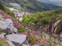 首爾旅遊｜升等住萬豪集團RYSE.水原星空圖書館.穿韓服遊景福宮.南怡島美境.弘大自由逛.超市補貨趣(一站購物彩妝)五日