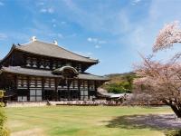 星宇春櫻雙城～名古屋京都｜國寶犬山城.淀川背割堤櫻.醍醐寺.伊勢神宮.奈良餵鹿體驗.舟遊近江八幡.雙和牛餐.甜點世界五日