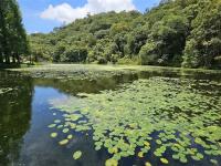 宜蘭旅遊｜免費升等四人房．每日限額福山植物園．日系禪風北后寺．礁溪捷絲旅2日｜大人囝仔