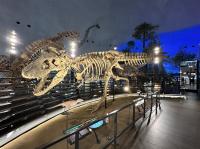 大阪北陸｜親子～名古屋樂高樂園.水族館.恐龍博物館.自動車博物館.蕎麥麵DIY五日｜萬怡酒店｜高雄