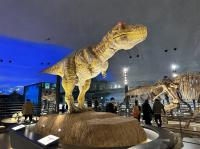 兒童最高省1萬｜親子樂園｜日本環球影城.樂高主題樂園.水族館.勇闖恐龍世界.LaCollina甜點.螃蟹溫泉六日(阪名)