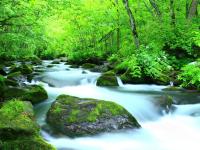 客製｜雙城遊~北海道＋東北.奧入瀨溪.函館.銀山溫泉.坐新幹線.造酒廠迷你小團7日【專屬包車】天天出發※不含機票