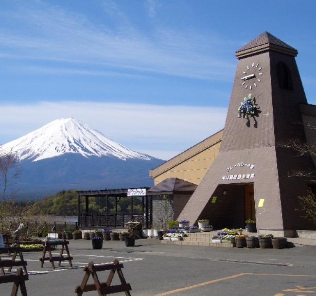 客製｜圓頂豪華露營~富士山景.餺飥不動.河口湖.水陸兩用車.迷你小團五日【專屬包車】天天出發※不含機票