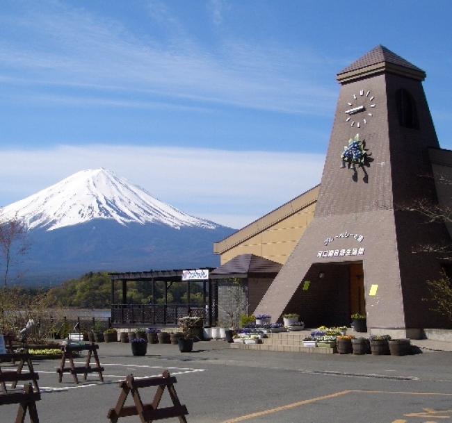 客製｜圓頂豪華露營~富士山景.餺飥不動.河口湖.水陸兩用車.迷你小團五日【專屬包車】天天出發※不含機票