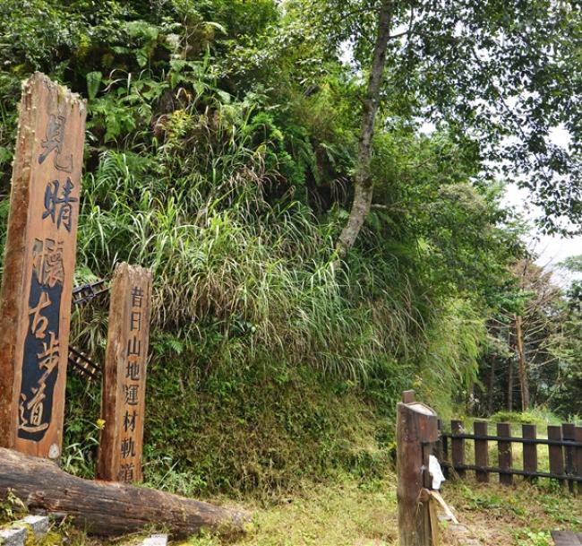 賀歲折1000．宜蘭旅遊｜冬山河綠舟遊船.太平山見晴步道.招財採銀柳.村却溫泉酒店三日｜台中出發