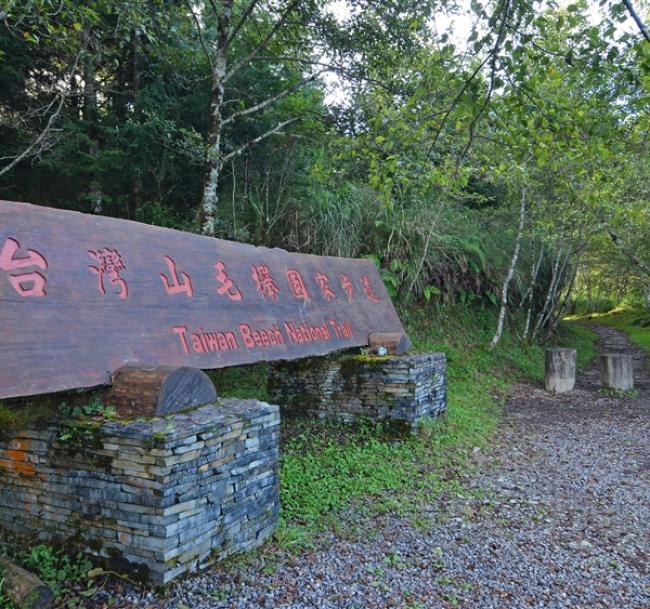 宜蘭旅遊｜最高折3百｜烘爐地求財賞梅花.太平山翠峰湖.珍稀植物『山毛櫸步道』二日｜台中出發