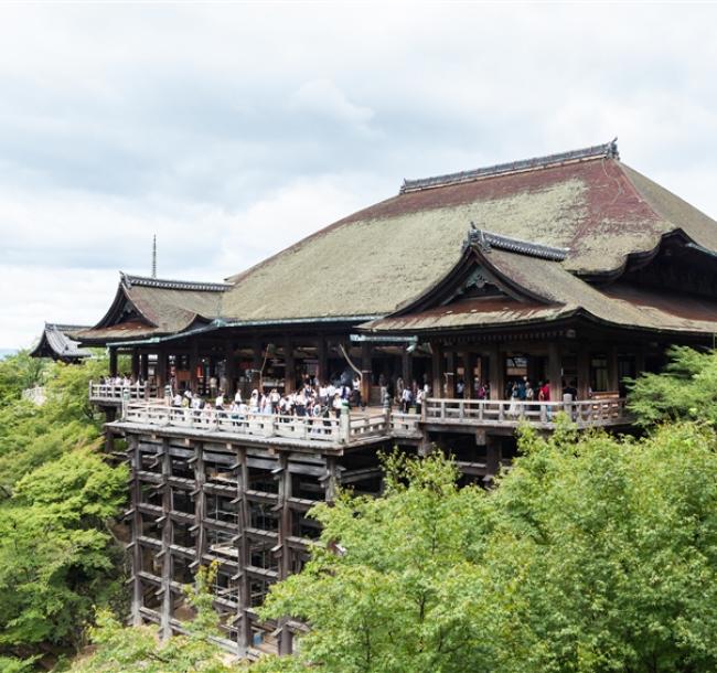 2025日本世界博覽會│大阪旅遊│世界遺產清水寺.六甲山ROKKO森林之聲博物館.藝術美學átoa水族館五日│高雄來回