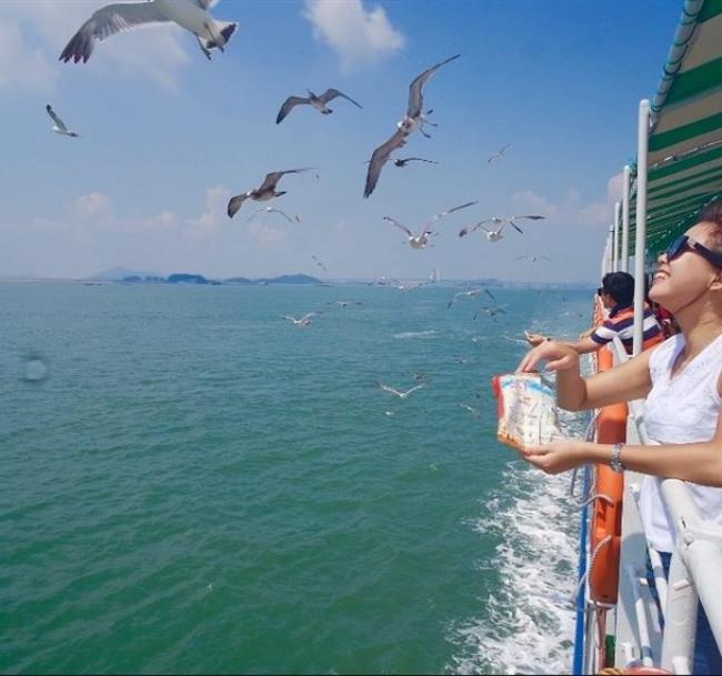 參團免小費｜首爾旅遊｜南怡島.歡樂愛寶樂園.水原星空圖書館.逛弘大_明洞五日