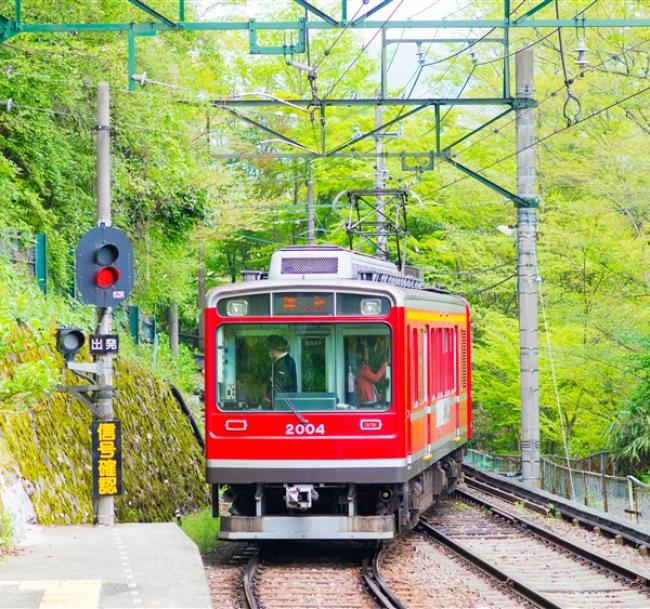東京旅遊｜箱根鐵道.小田原城址公園.豐洲千客萬來.御殿場OUTLET.迪士尼.熟成牛吃到飽五日｜高雄來回