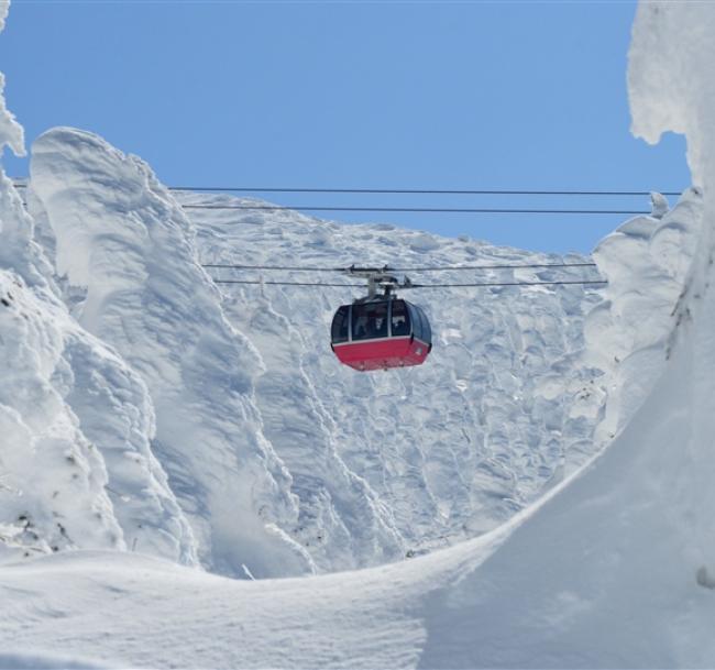 過年折3,000|東北２大樹冰纜車.最上川遊船.雪境列車.高山稻荷神社.夢幻水母館.全程溫泉.採果美食六日|青仙雙點進出