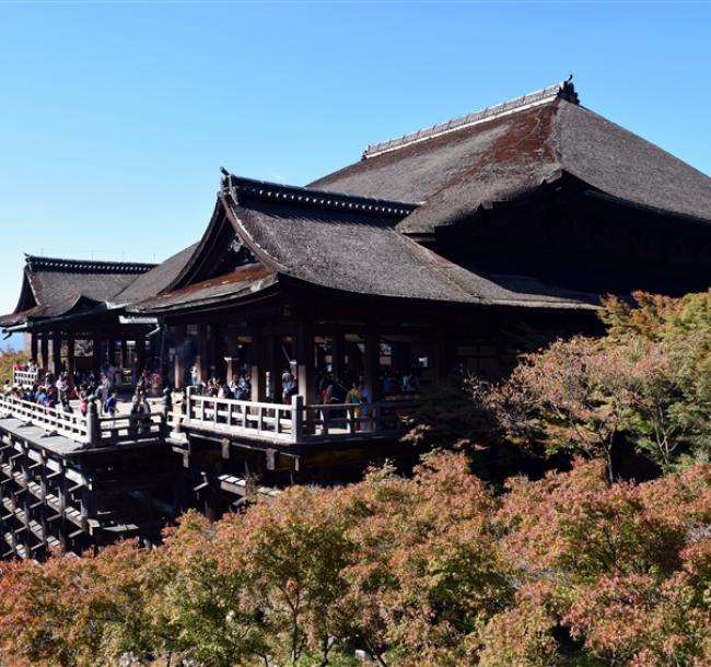 客製｜經典關西三都~清水寺.千本鳥居.東大寺.梅花鹿~迷你小團五日【專屬包車】(北/高出發)※不含機票