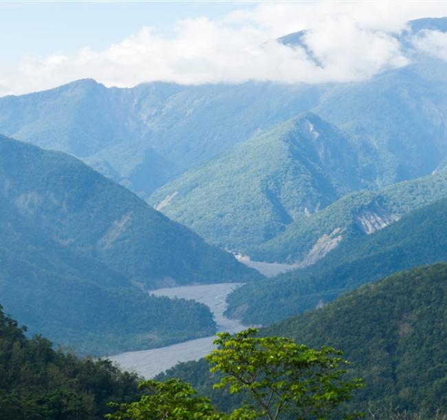 【台東旅遊．兩人成行】池上伯朗大道．山里教堂．二層坪水橋．戒治所咖啡1日