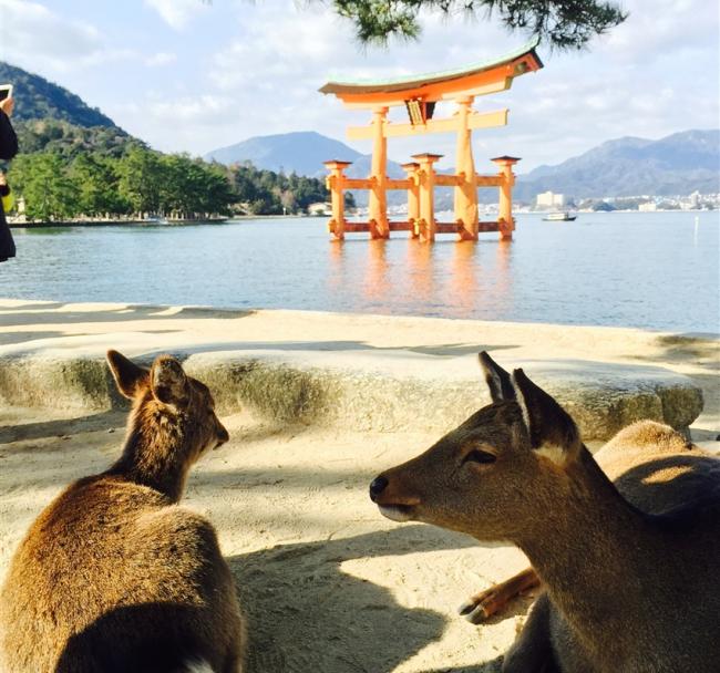 雙城四國廣島岡山旅遊｜三景嚴島神社.四季花卉讚岐滿濃公園.倉敷美觀地區.紙鶴塔祈福.瀨戶內海夢幻小豆島六日(高松/廣島)