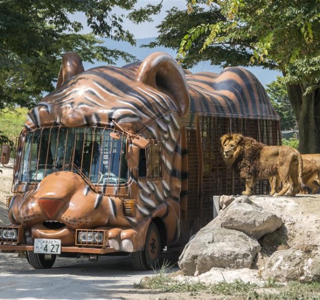 九州｜自然野生動物園.叢林巴士.金鱗湖~湯布院.南阿蘇鐵道.居酒屋料理.溫泉五日｜高雄直飛