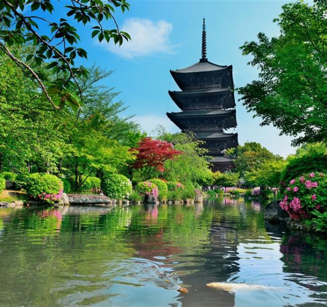 客製｜京都八条源町邸包棟民宿.教王護國寺.京都水族館.鐵道博物館迷你小團5日【專屬包車】(北/高出發)※不含機票