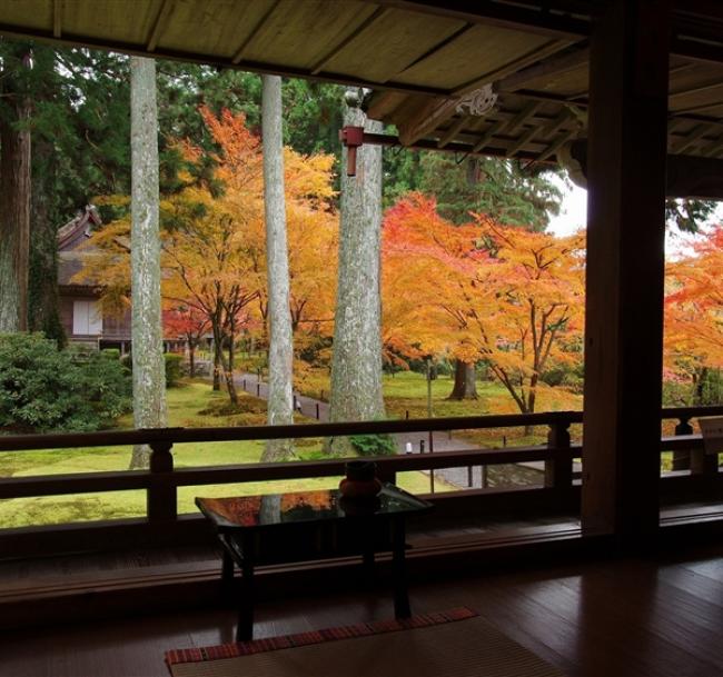 客製｜京都百年巷弄町家民宿一晚.京都御所.大原三千院.平等院.花之御院.奈良長谷寺迷你小團5日【專屬包車】※不含機票