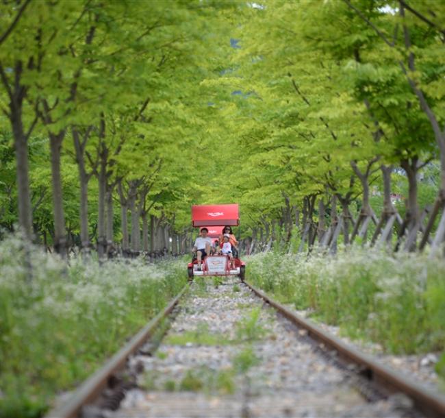 參團免小費｜首爾旅遊｜入住露營車乙晚.南怡島美境.絕美LED極光道.必逛明洞.黑白大廚(兩站購物)五日